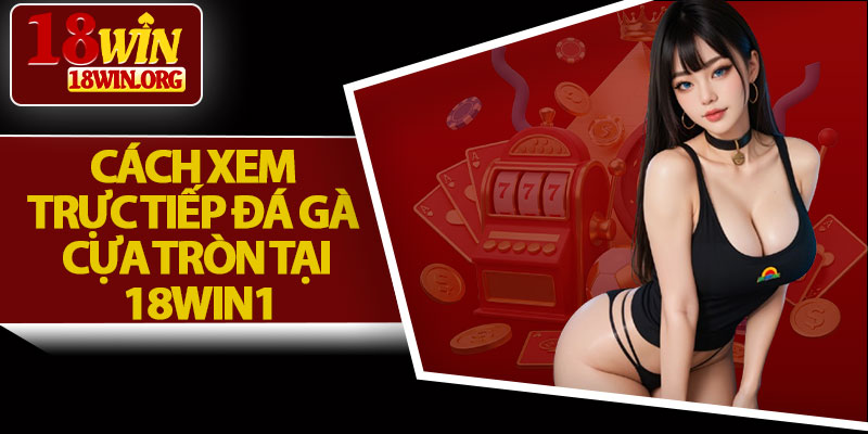 Cách Xem Trực Tiếp Đá Gà Cựa Tròn Tại 18win1