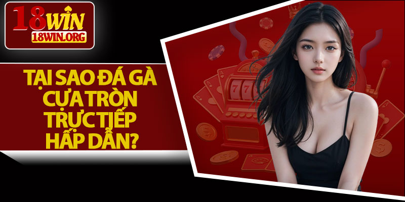 Tại Sao Đá Gà Cựa Tròn Trực Tiếp Hấp Dẫn?